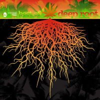 2010_best_deep_roots
