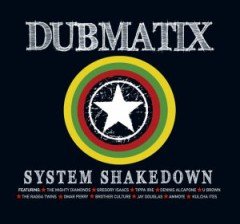 2010_system_shakedown