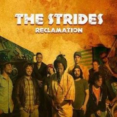 the_strides