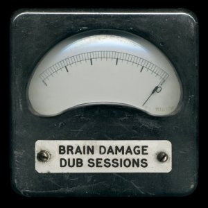 2012_brain_damage