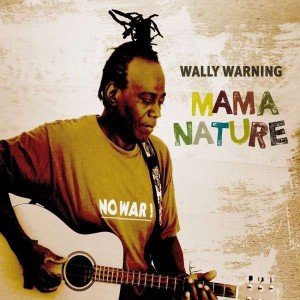 2013_wally_warning