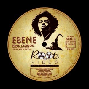 Roots Vibes 2