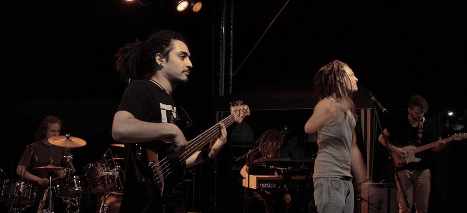 Rootz Radicals 2
