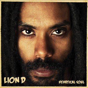 Lion D