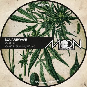 Squarewave