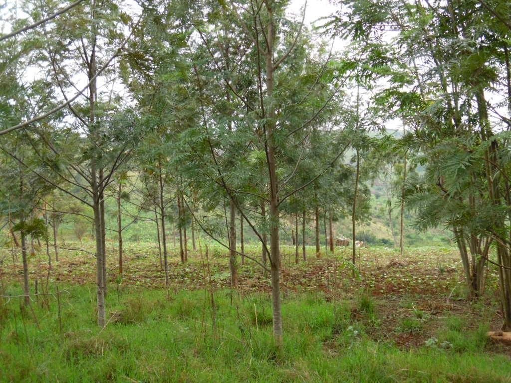 tanzania-3