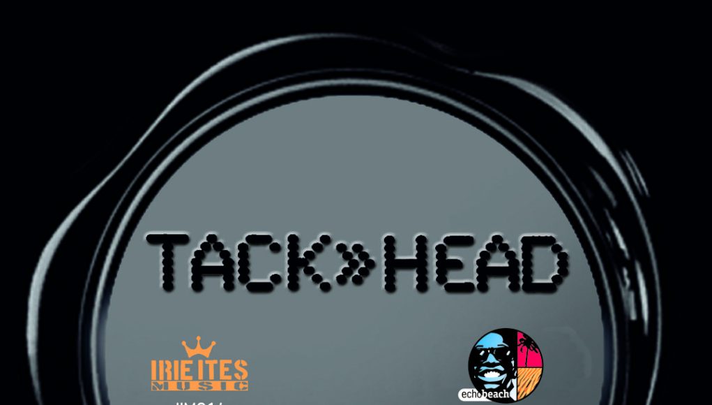 ameise vinyl 7inch label template