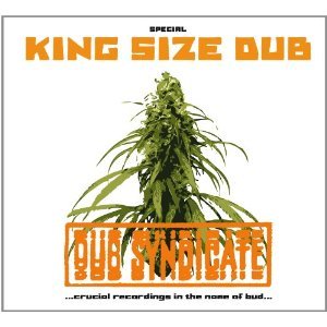 dub_syndicate