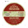 Nach 25 Jahren Untergrund-Musik und bereits 15 Veröffentlichungen seit 2004 auf seinem Label “Tube Dub Sound Records” hat es Fredread bisher gänzlich geschafft, sich meiner Wahrnehmung im Dub-Universum zu entziehen. […]