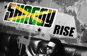 Shaggy “Rise” (Embassy of Music)