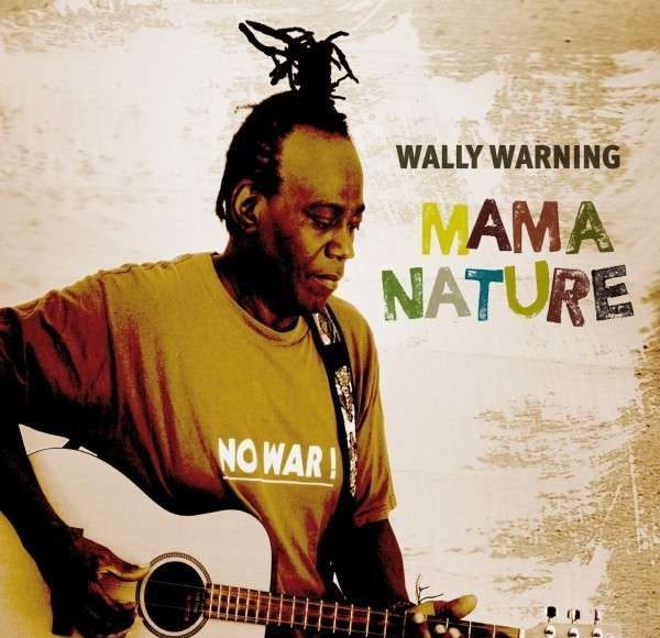 2013_wally_warning