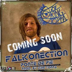 falkonection