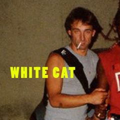 whitecat