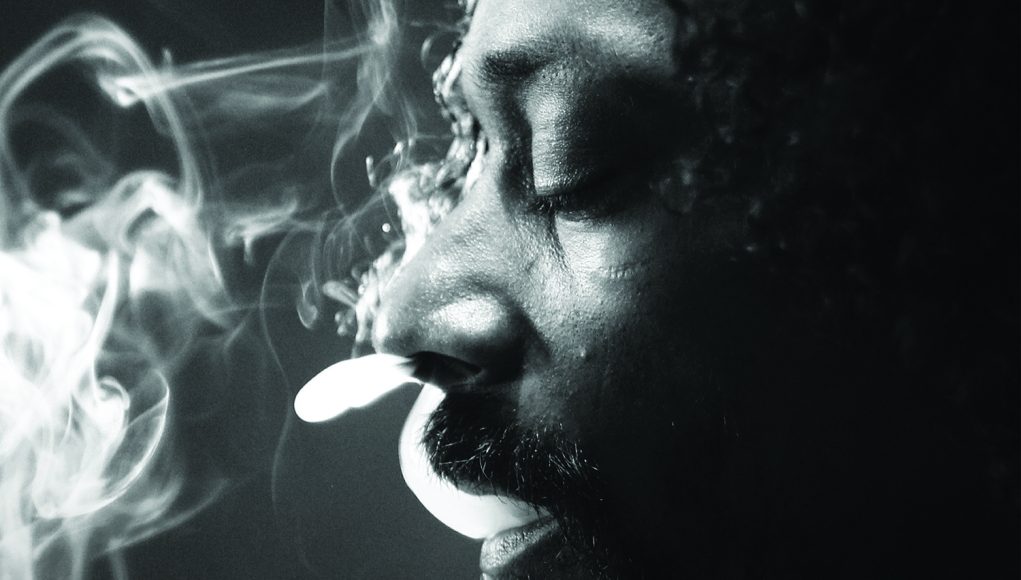 Snoop-Lion-Reincarnated
