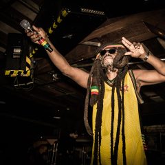 Steel Pulse HH-7616