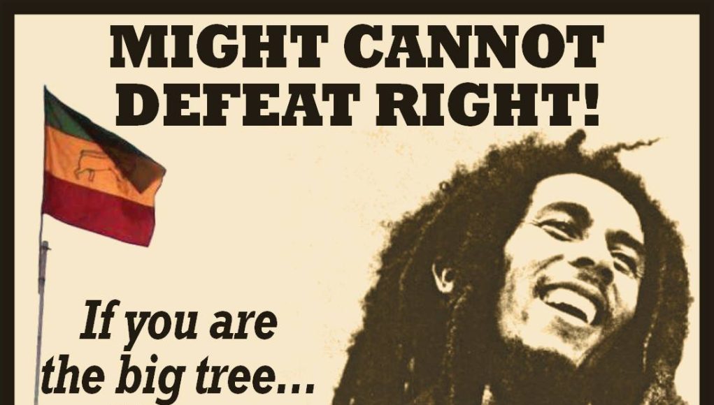 occupy pinnacle marley
