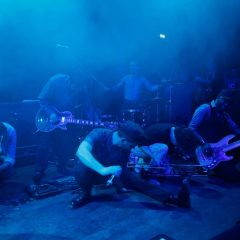 Babylon Circus Live 6