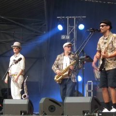 Fat Freddys Drop HH