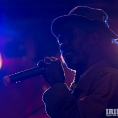 ReggaeJam-95