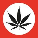 Jahdolf Logo