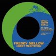 Freddy Mellow “Sweet Meditation” Aldubb “Dub Meditation” – 7 Inch (One-Drop Music – 2014) Kaboom! Ein weiteres Highlight aus Berlin. Am Mikrophon ist dieses Mal Freddy Mellow zu hören. Mir […]