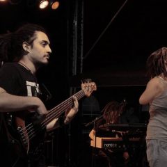 Rootz Radicals 2