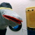 Pupa Sock – Interview mit einer Socke. Seit geraumer Zeit sorgt eine Socke für Aufmerksamkeit, die ganz offensichtlich Reggae liebt: Pupa Sock! Immer wieder meldet sie sich zu Wort und […]
