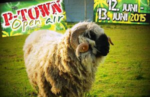 P-Town Open Air (12. – 13. Juni 2015) Festival Report