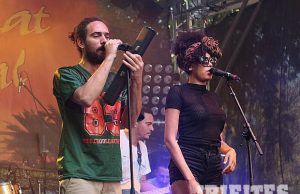 Weedbeat 2015, Rössing, 10.-12.7.15