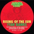 Iyah Ranks “Rising Of The Sun” – 7 Inch (Cultural Warriors Music – 2015) Es gibt sie immer wieder: Boomtunes! Diesen hier habe ich zuerst bei Ameise Vinyl von einem […]