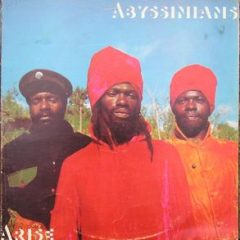 Abyssinians