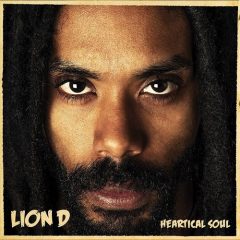 Lion D
