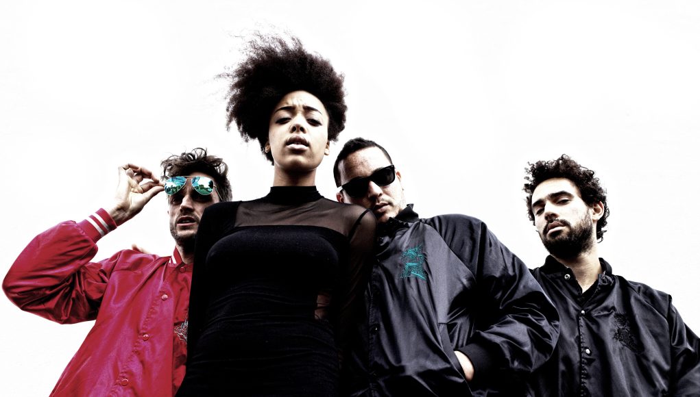 The Hempolics - large format press shot
