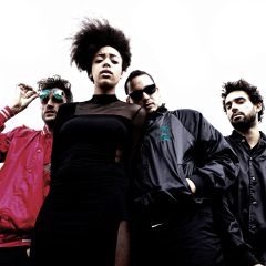 The Hempolics – large format press shot