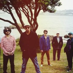 fat-freddy