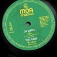Moa Anbessa feat. Jules I / Prince David “Jah a di best” / “Everliving” – 12 Inch (Moa Anbessa – 2016) Moa Anbessa, das Produzentengespann aus Venedig, Italien, hatten die Soundsystem Welt […]