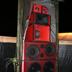 Roots Plague Soundsystem