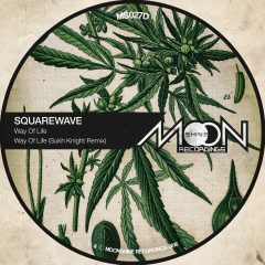 Squarewave