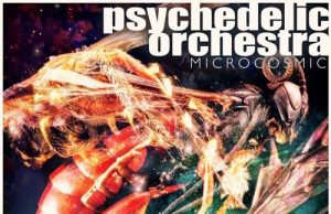 Psychedelic Orchestra “Microcosmic” (Squinty Bass)