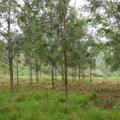 tanzania-3