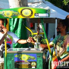 DSCF4239b