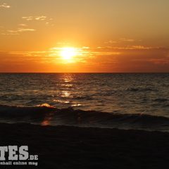 DSCF4279b