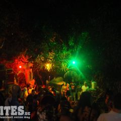 DSCF5411b