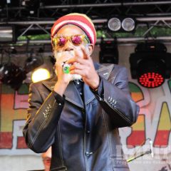 Don Carlos