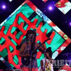 Steel Pulse