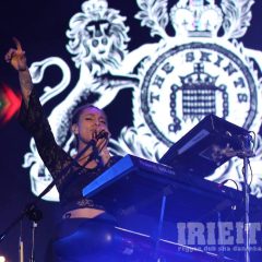 The Skints
