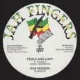 Dubmatix feat. Linval Thompson “Peace & Love” / Dub Version Dubmatix feat. Horace Andy “It’s A Clash” / Dub Version – 12 Inch (Jah Fingers – 2017) Das Label Jah […]