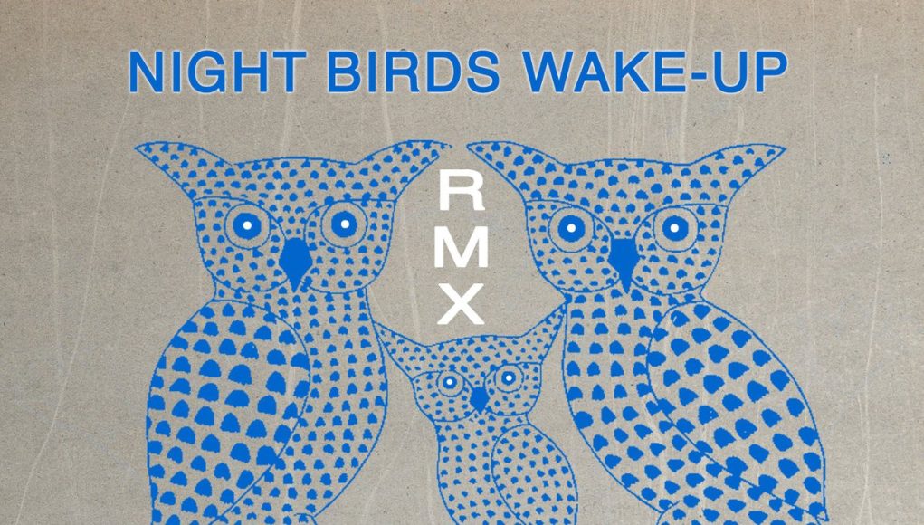 Night Birds Wake Up