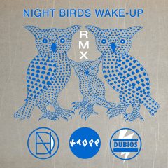 Night Birds Wake Up