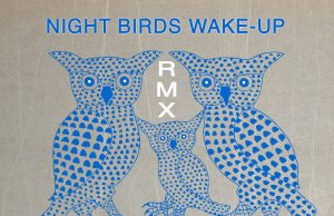 “Night Birds Wake Up” Remixes feat. KTOPP, Dubios & I-Bogle – Free Download!